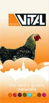 Vital Landmasthähnchen Brocken 25kg