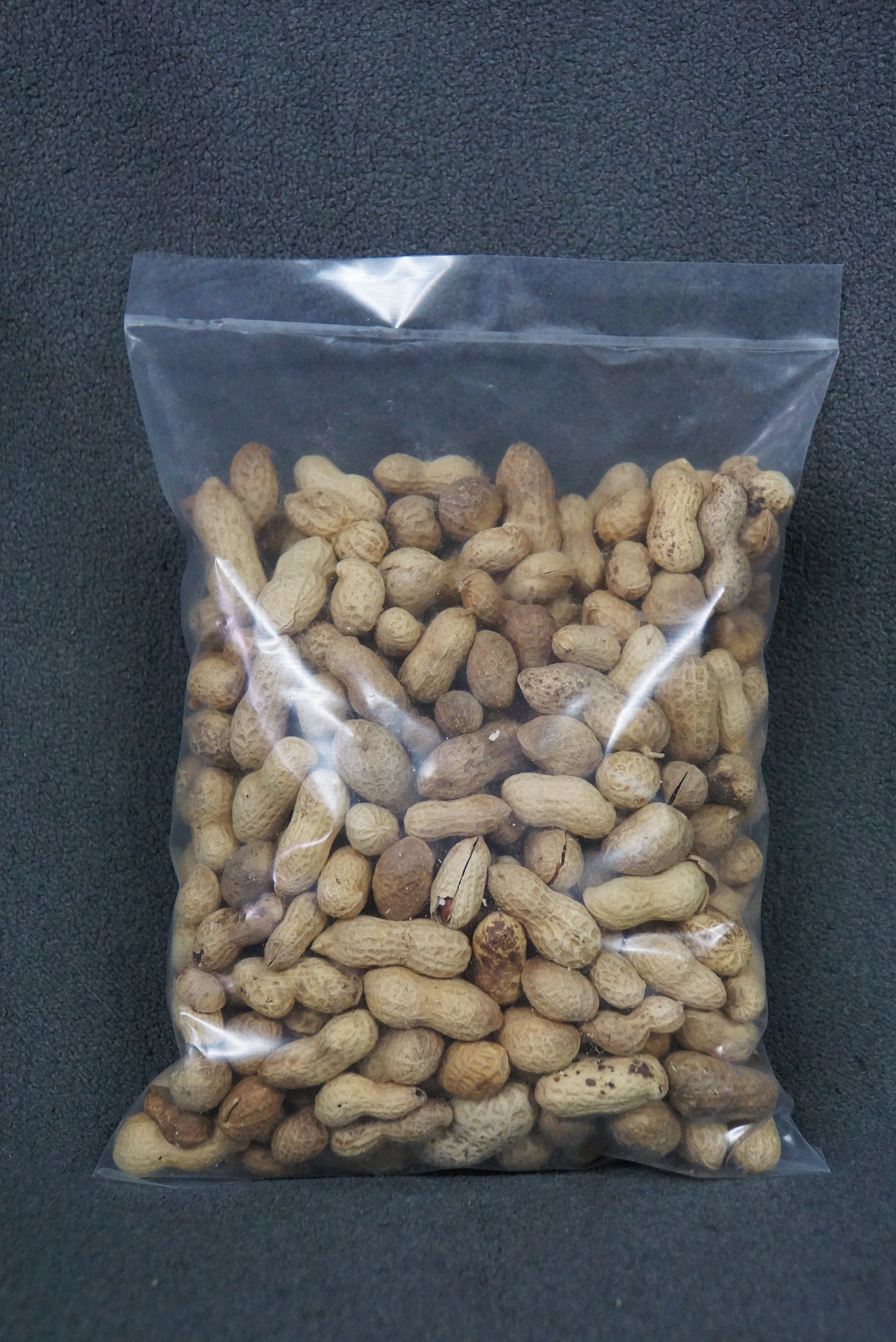 Erdnüsse mit Schale 500g