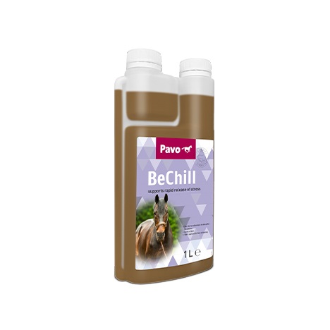 Pavo BeChill 1l