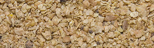 Vital Soya Kuchen 49 Hightpro  25kg